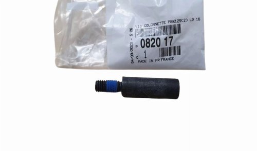 Spannschraube für den Zahnriemen 082017 0820.17 Citroen Peugeot 1.8-2.2HDI Original Neu