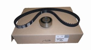 Steuerungssatz 0831Q5 0831.Q5 Citroen Peugeot 1.4/1.6 Original Neu