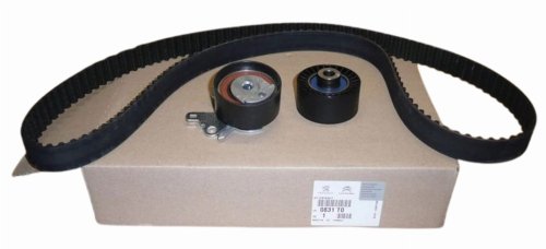 Steuerungssatz 0831.T0 0831T0 Citroen C5 Peugeot  406 2.0 16V HPI Original Neu