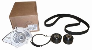 Steuerungssatz + Pumpe 1609524480 Citroen Peugeot  2.2HDI Original Neu