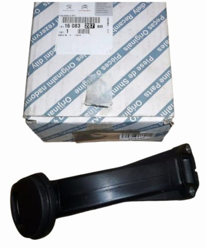 Ölpumpenventil 1608328780 Citroen Nemo 1.3HDI Original Neu