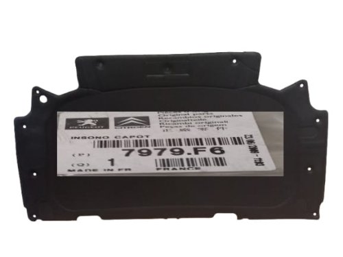 Motorhaubenverkleidung 7979.F6 7979F6 Citroen C5 II Original