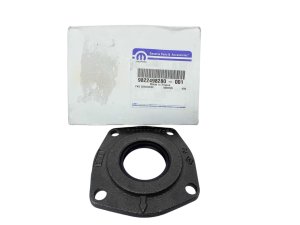 Lagerabdichtung 9822498280 Neu OE PSA Boxer
