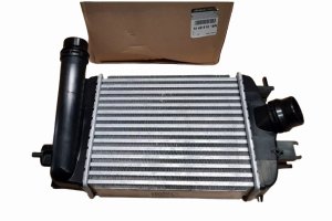 Luftkühler 144961019R Renault Clio V Original Neu