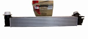 Luftkühler 144963639R Renault Megane III Original Neu