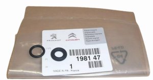 Einspritzdüsen-Dichtungen 198147 1981.47 Citroen Peugeot Original Neu