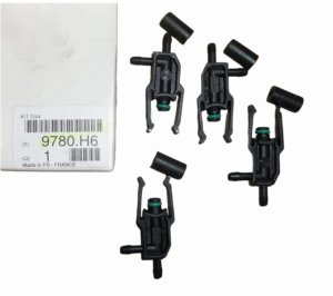 Reparatursatz für Einspritzdüsen 9780.H6 9780H6 Citroen Peugeot Original Neu