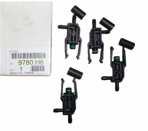 Reparatursatz für Einspritzdüsen 9780.H6 9780H6 Citroen Peugeot Original Neu