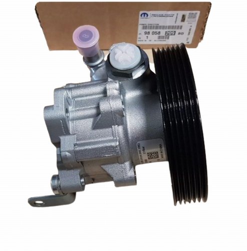 Servolenkungspumpe 9805820980 Citroen Jumper III Peugeot Boxer III 2.2HDI Original Neu