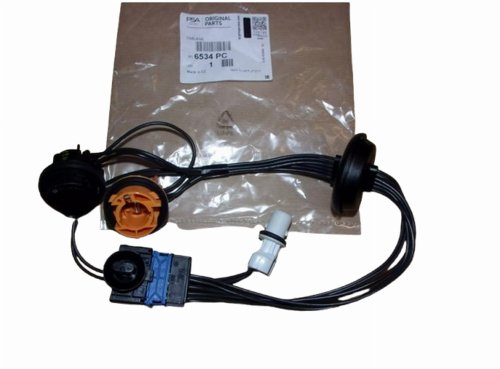 Einbau der Scheinwerfer 6534PC Citroen C4 Original
