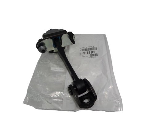 Türbegrenzer hinten Peugeot 407 9181K5