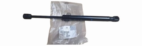Stoßdämpfer Heckklappe 8731.T3 8731T3 Peugeot 407 Original Neu
