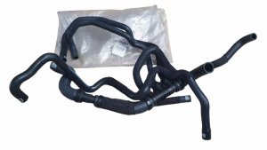 Wasserschlauch 8200580569 Renault Scenic II 1.9DCI Original Neu