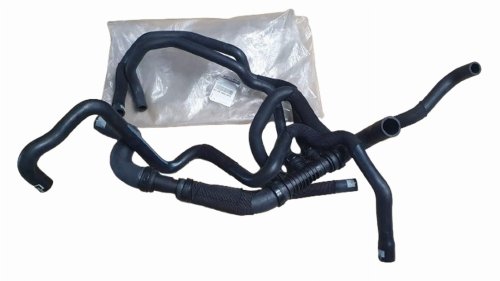 Wasserschlauch 8200580569 Renault Scenic II 1.9DCI Original Neu