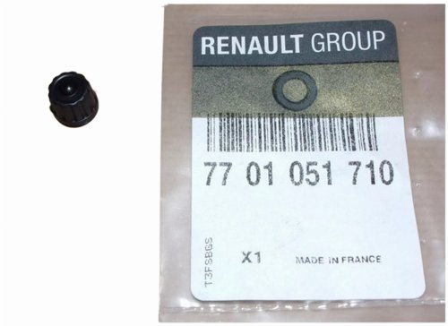 Entlüftungsventil für Kühlsystem 7701051710 Renault Original Neu