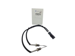 Abgastemperatursensor  9814103480 Neu OE PSA Jumper III