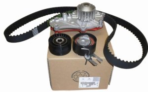 Steuerung + Pumpe Satz 1609525680 Citroen C4/C5 Peugeot 206/3008 1.6HDI Original Neu