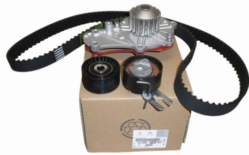 Steuerung + Pumpe Satz 1609525680 Citroen C4/C5 Peugeot 206/3008 1.6HDI Original Neu