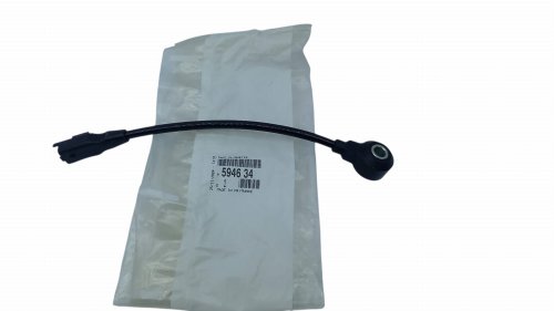 Klopfsensor 594634  C5,  P407 Original