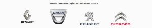 Klimaanlagenleitung 924902956R Renault Neu Original