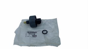 Wasser-im-Kraftstoff-Sensor 191316 Citroen Peugeot 2.2HDI, 2.0HDI Original