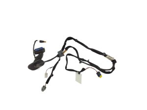 Kabelbaum Tür links vorne 8200504955 Gebraucht Original Renault Clio III