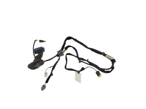 Kabelbaum Tür links vorne 8200504955 Gebraucht Original Renault Clio III
