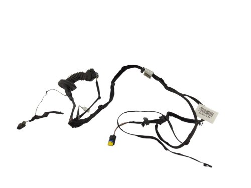 Kabelbaum Tür rechts vorne 8200504547 Gebraucht Original Renault Clio III