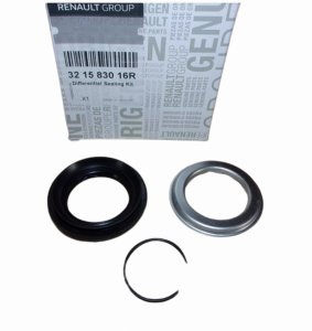 Halbachsen-Dichtmittel 321583016R DW6 Renault Original Neu