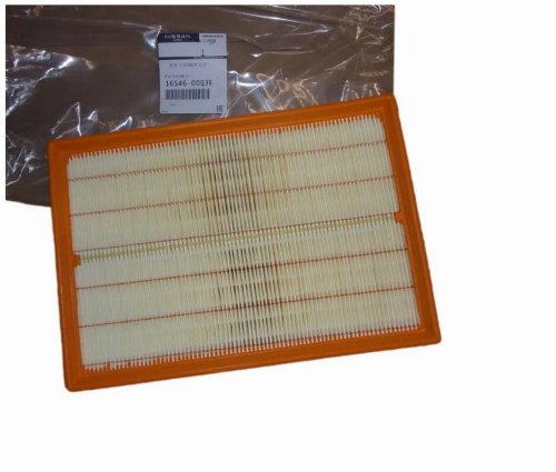 Luftfilter 1654600Q3E Renault Master III Original Neu