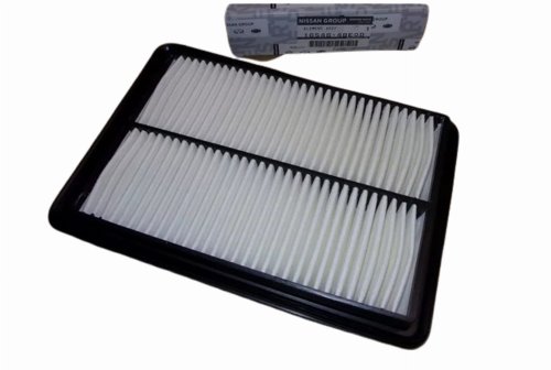 Luftfilter 165464BE0D Renault Koleos 2.0 DCI Original Neu