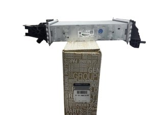 Luftkühler 214106421R Renault Dacia 1.5DCI Original