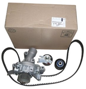 Steuerungssatz + Pumpe 1609525580 Citroën C4 Picasso 1.8/2.0 16V Original Neu