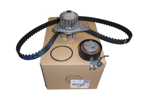 Steuerungssatz + Pumpe 1610793180 Citroën Berlingo/C2/C3/Saxo Peugeot 206 1.1 Original Neu