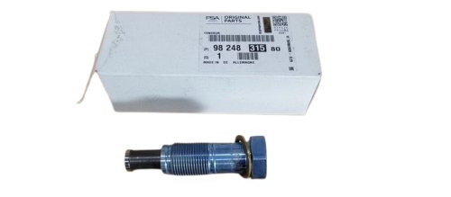 Steuerungsgleitbolzen 9824831580 Citroën C4 Peugeot 207 1.6VTI Original Neu