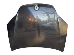 Motorhaube Renault Laguna III  651000021R Lack NV676 Gebraucht Original