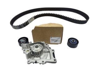 Steuerungssatz + Pumpe 6507331480 Citroen Peugeot 2.0HDI Original Neu