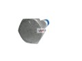 DSC00180-removebg-preview.jpg