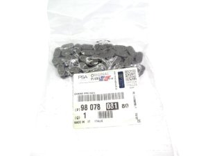 Ölpumpenkette Peugeot Citroen 2,0HDI 9807808180