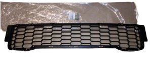 Stoßstangengitter 8200665549 Renault Kangoo II Original Neu