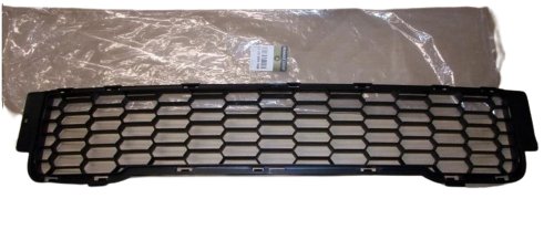 Stoßstangengitter 8200665549 Renault Kangoo II Original Neu