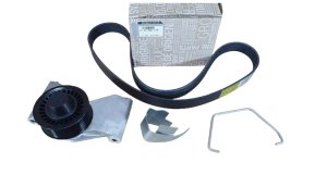 Keilriemensatz 117200277R Dacia Duster Original Neu