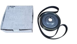 Satz Riemenscheibe + Riemen 123037092R Dacia Duster II 1.5DCI Original Neu