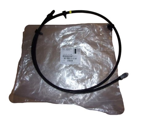 Scheibenwaschleitung 9808561680 Citroën Jumpy IV Original Neu