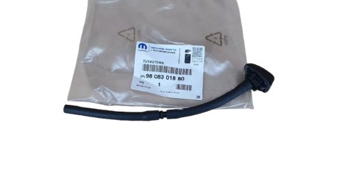 Scheibenwaschdüse vorne 9808301880 Citroen C3 III Original