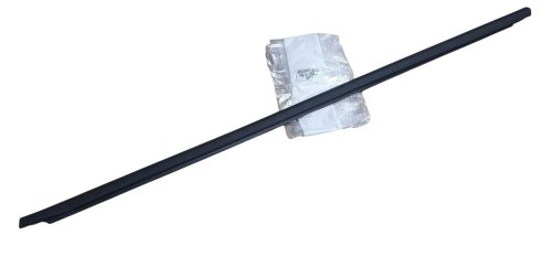 Scheibenschutzleiste vorne links YQ00167980 Citroën C3 Aircross II Original Neu