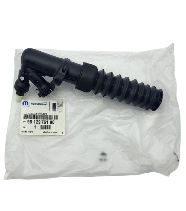Kupplungspumpe 9812976180 C2, C3, DS3, 208, 308 Original