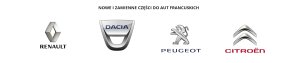 Turbolader 144107877R Renault Trafic III 2.0 dCi Neu, Original